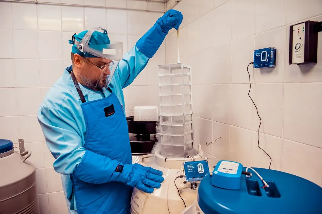 Извлечение