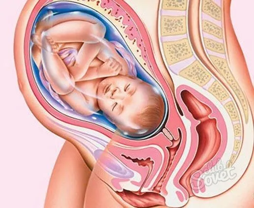 Извлечение