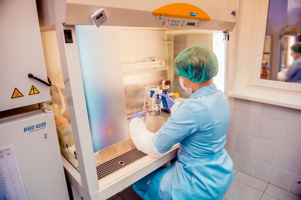 Извлечение